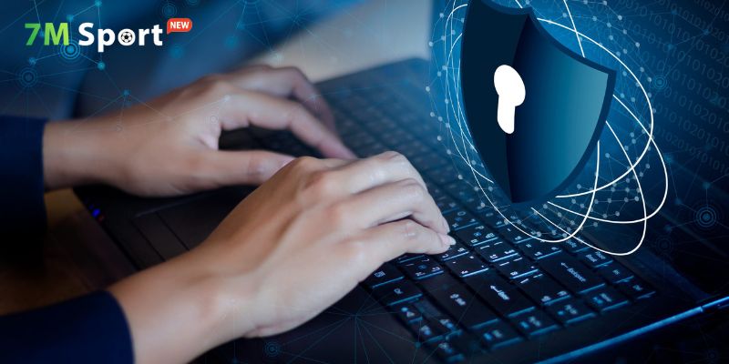 7M nêu rõ loại thông tin thu thập trong chính sách bảo mật