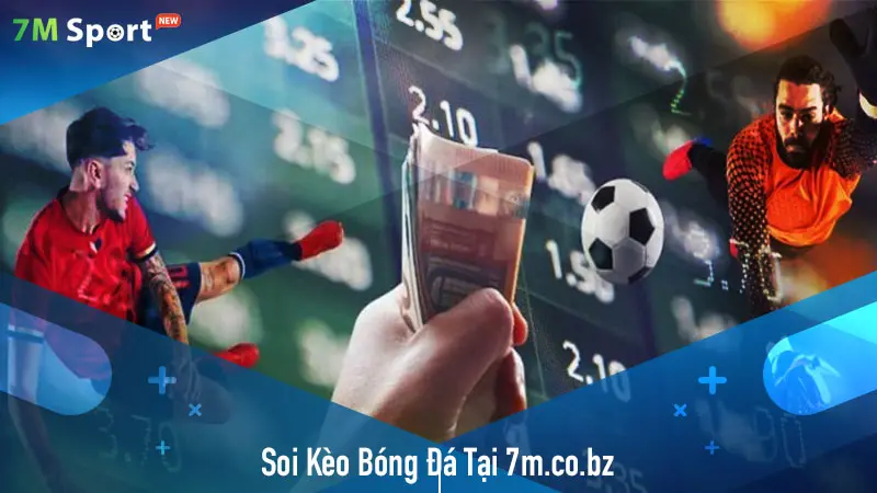 Nhận Định Tỷ Lệ Kèo Chuẩn Xác Từ Chuyên Gia 7M